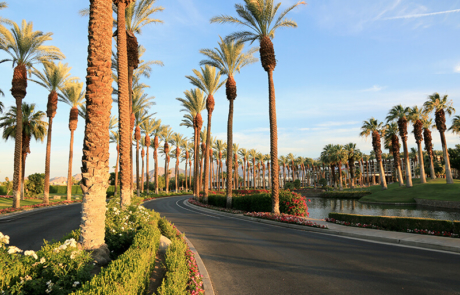 Palm Springs roads and trees.